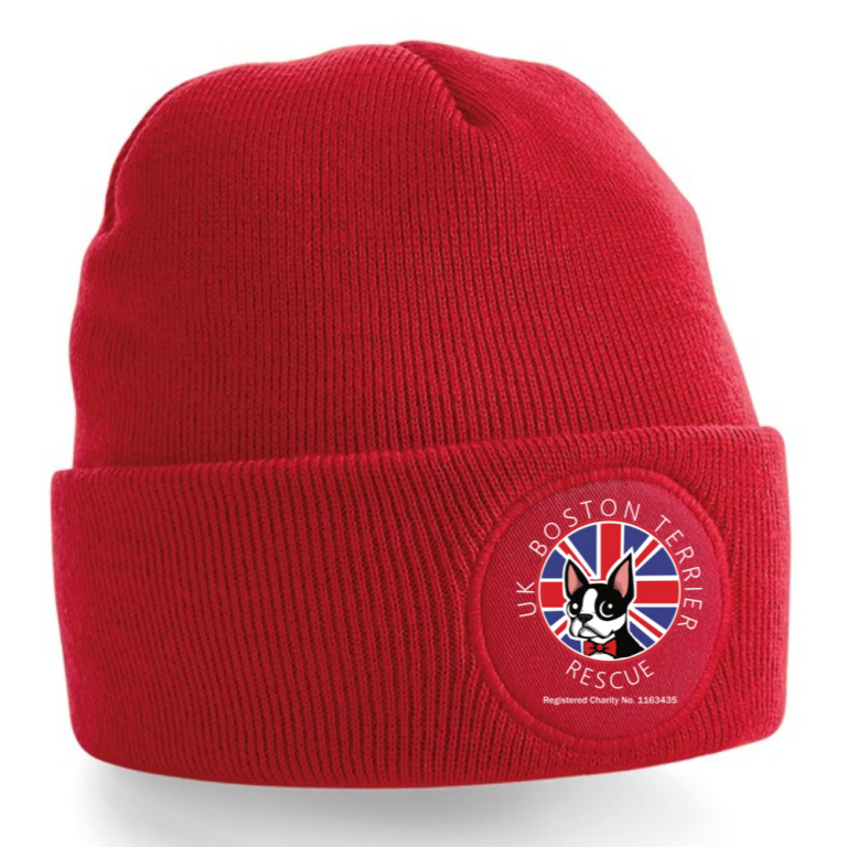 Hoodie - UKBTR Logo Adult with FREE Beanie Hat