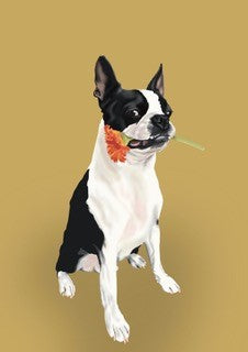 Card - Flower Boston Greeting