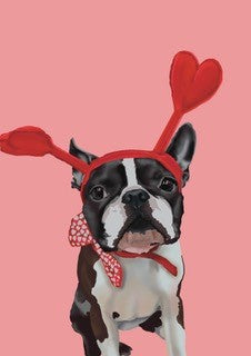 Card - Lovely Boston