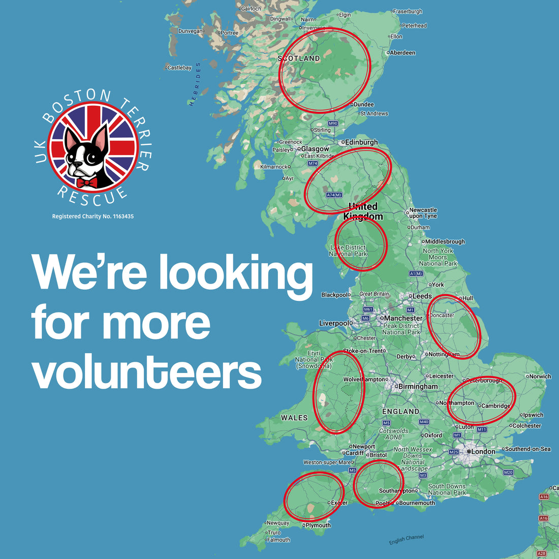 We're looking for more volunteers 🐾