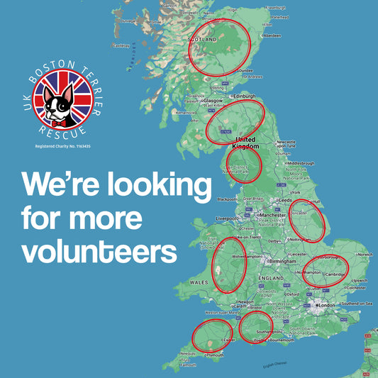 We're looking for more volunteers 🐾