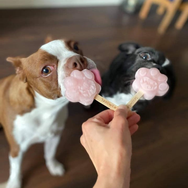 Success Story -2 Special pupdates