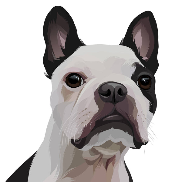 Pearl & Pals chose us!