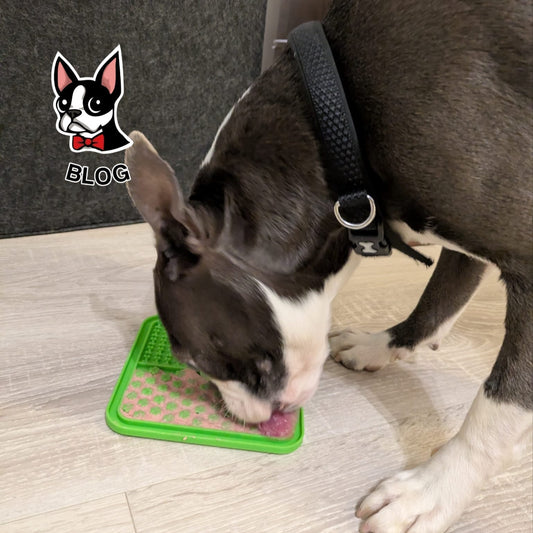 How to use a LickiMat: A guide to happy wiggles!