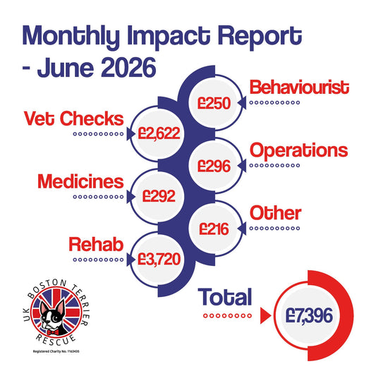 June Impact Report