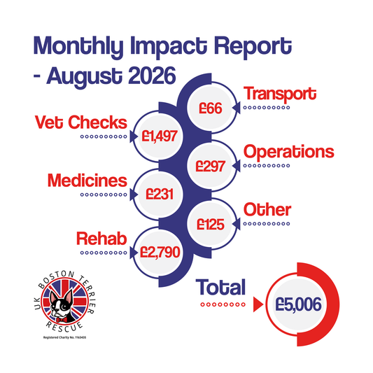 August Impact Report