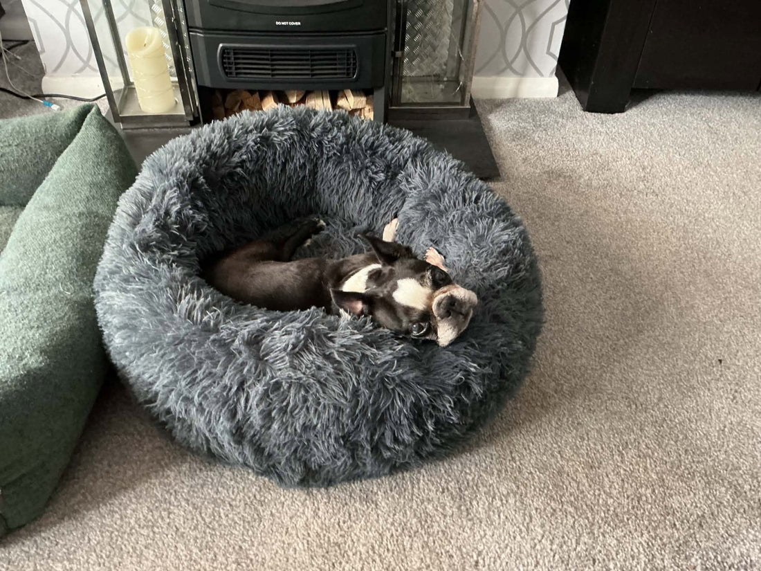 Welcome to The Primrose Family, Hugo & Lily!