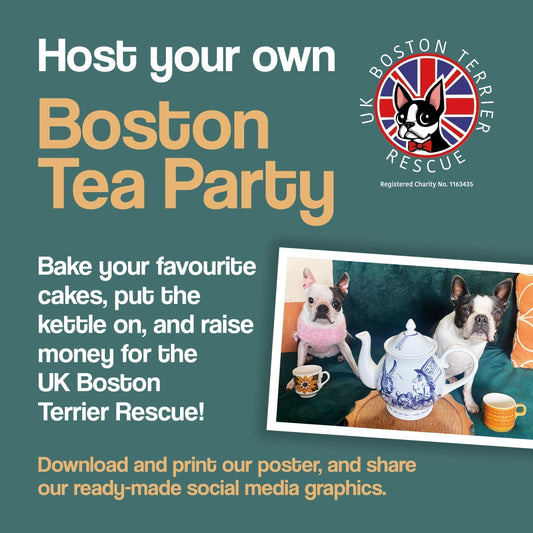 Host Your Own Boston Tea Party !