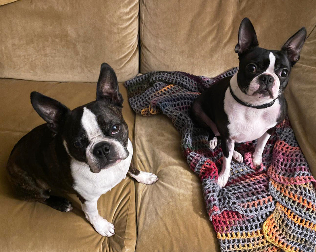 Bob and Betty - Double Success Story