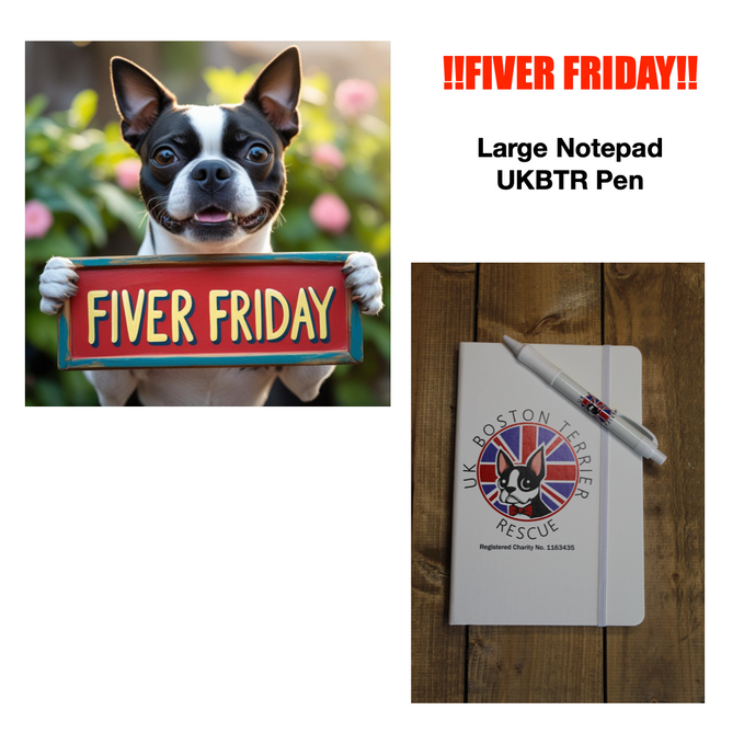 FIVER FRIDAY