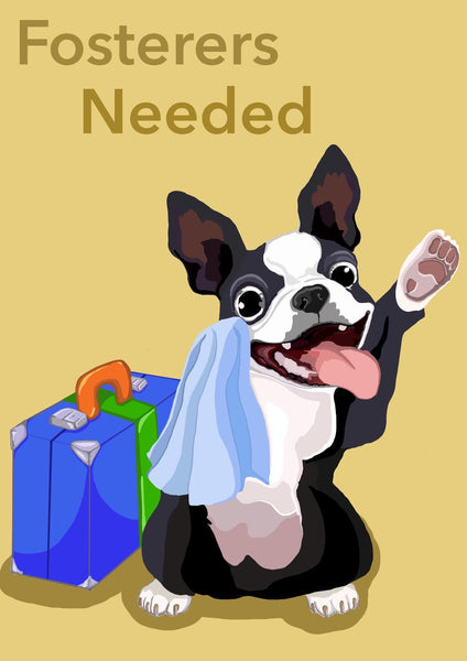 FOSTER PAWRENTS URGENTLY REQUIRED