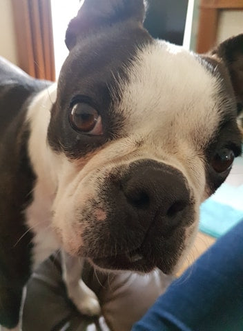 Success Story - Minnie's Journey.