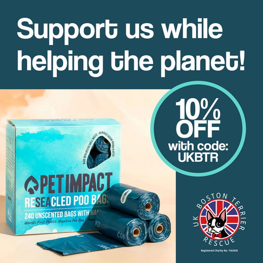 Support UK Boston Terrier Rescue While Helping the Planet
