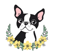 Primrose Pup-date