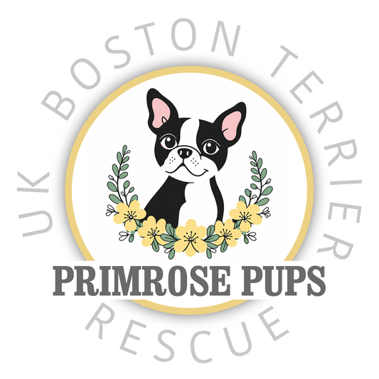 Primrose Pup Boston Terrier Logo