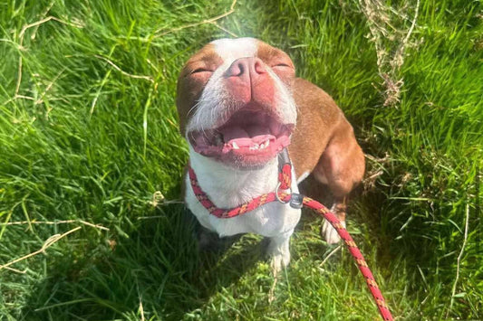 Meet Romy - Could You Be Her Special Person?
