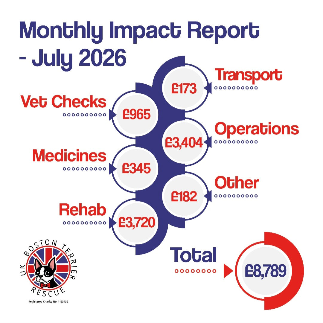 July Impact Report