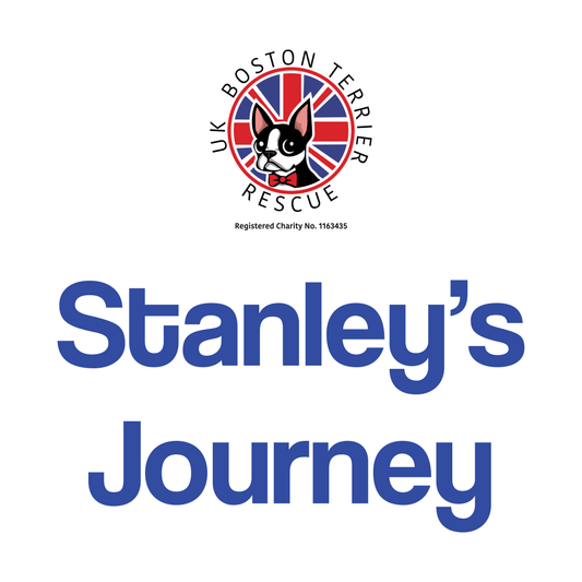 A  Typical Rescue Journey - Stanley