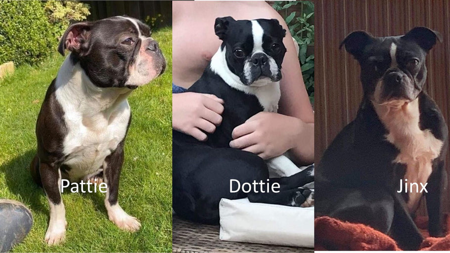 Success Story - 3 Sisters.