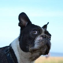 All You need is Love. Right?