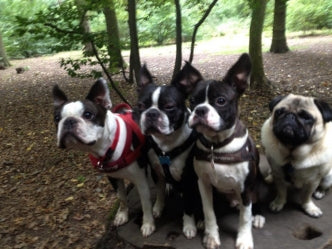 The Importance of Scent