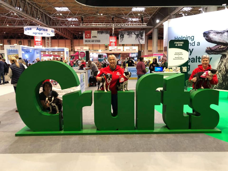 Crufts 2020