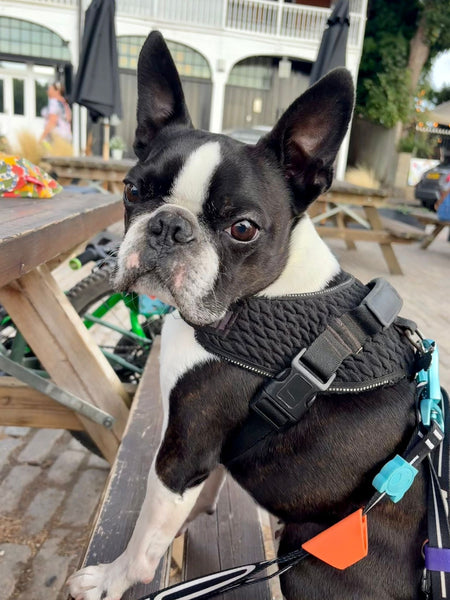 Ralph The Wrecker - Happy Ever After