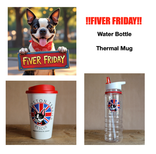 FIVER FRIDAY !