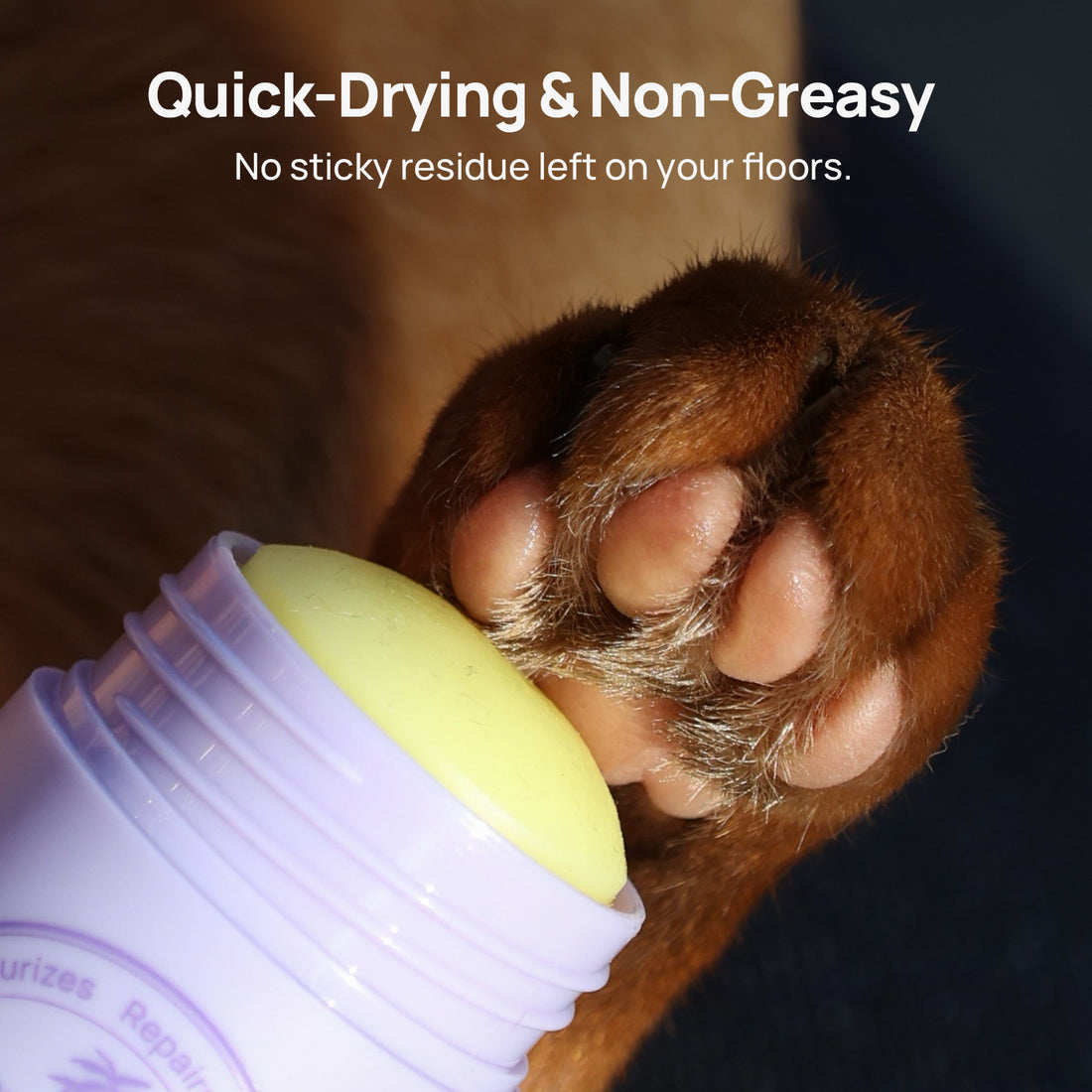 Paw Balm Butter for Dogs