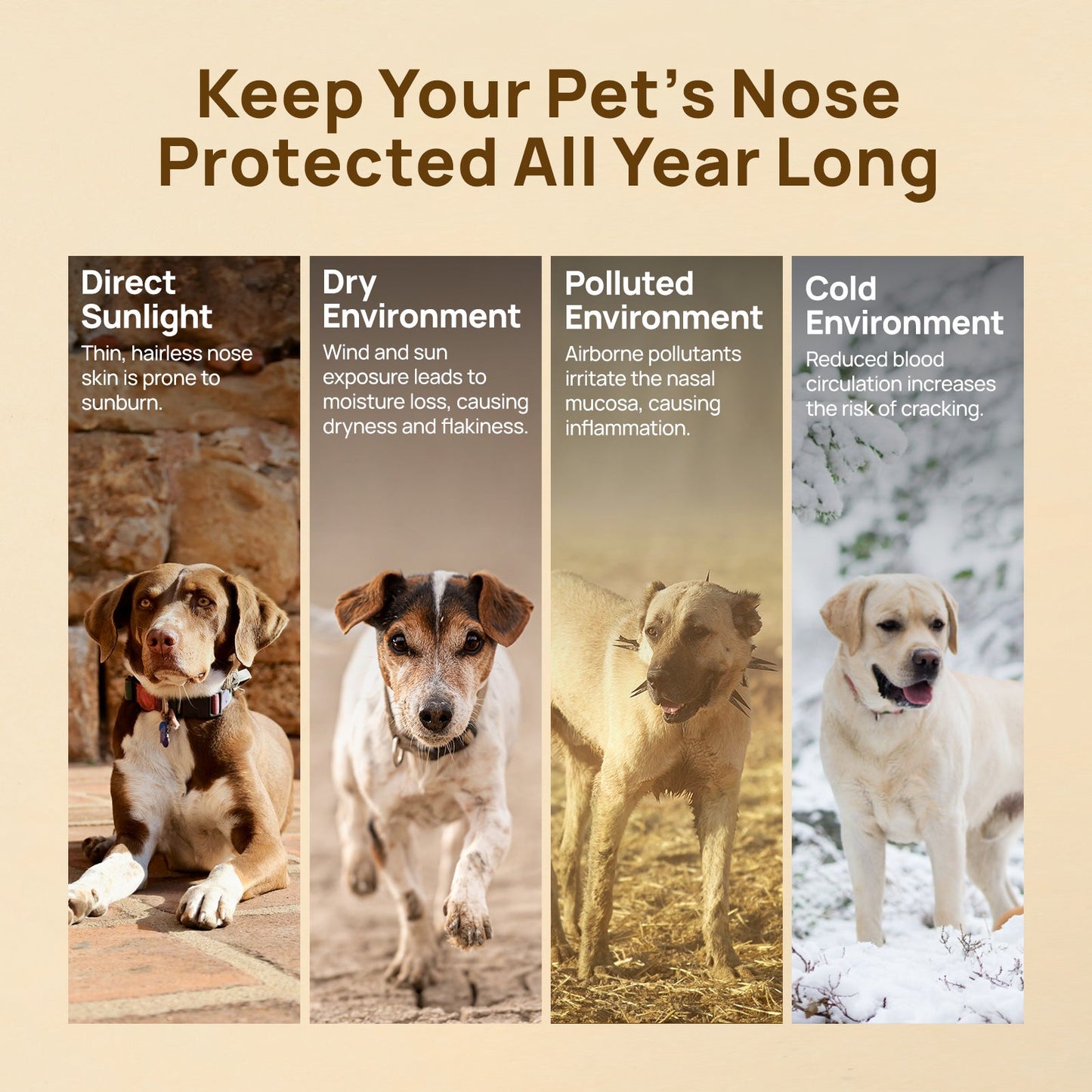 Nose Balm Butter for Dogs