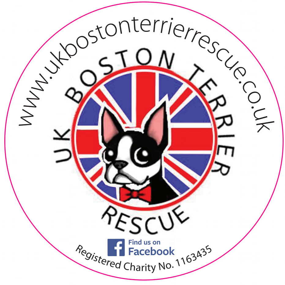 Logo of UK Boston Terrier Rescue with a dog illustration and British flag design.