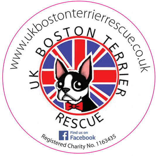Logo of UK Boston Terrier Rescue with a dog illustration and British flag design.