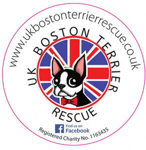 Car Sticker