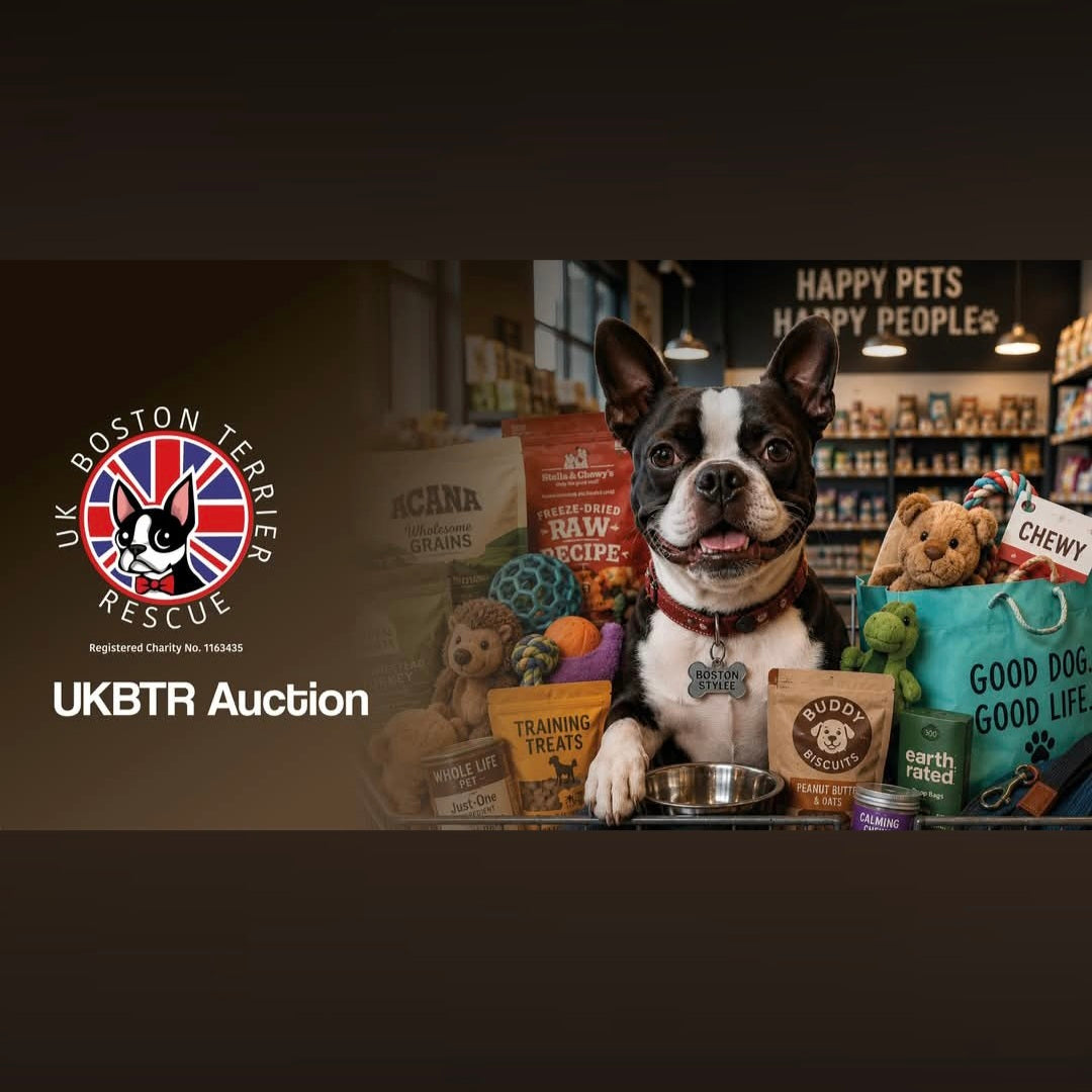 A Boston Terrier sits in a pet store surrounded by dog treats, toys, and bags, with a UK Boston Terrier Rescue logo and the text 'UKBTR Auction' on the left side of the image.