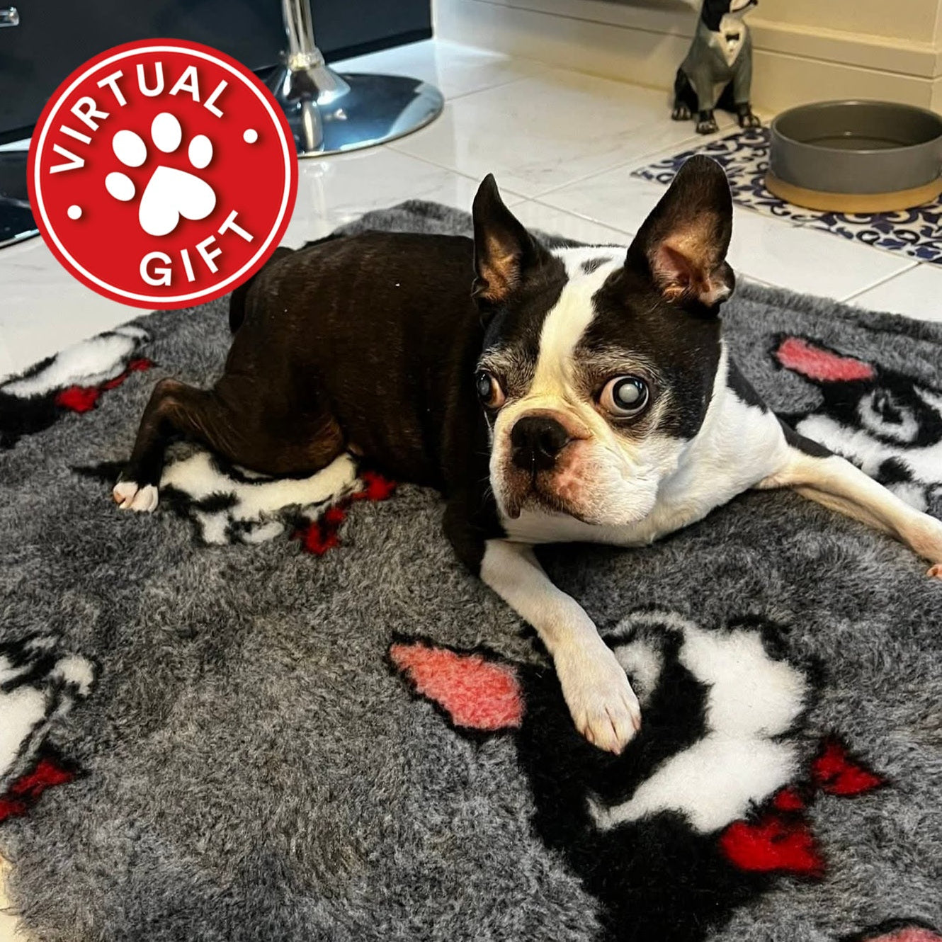 Dog lying on a rug with a 'Virtual Gift' logo in the corner