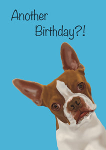 Another Birthday Card