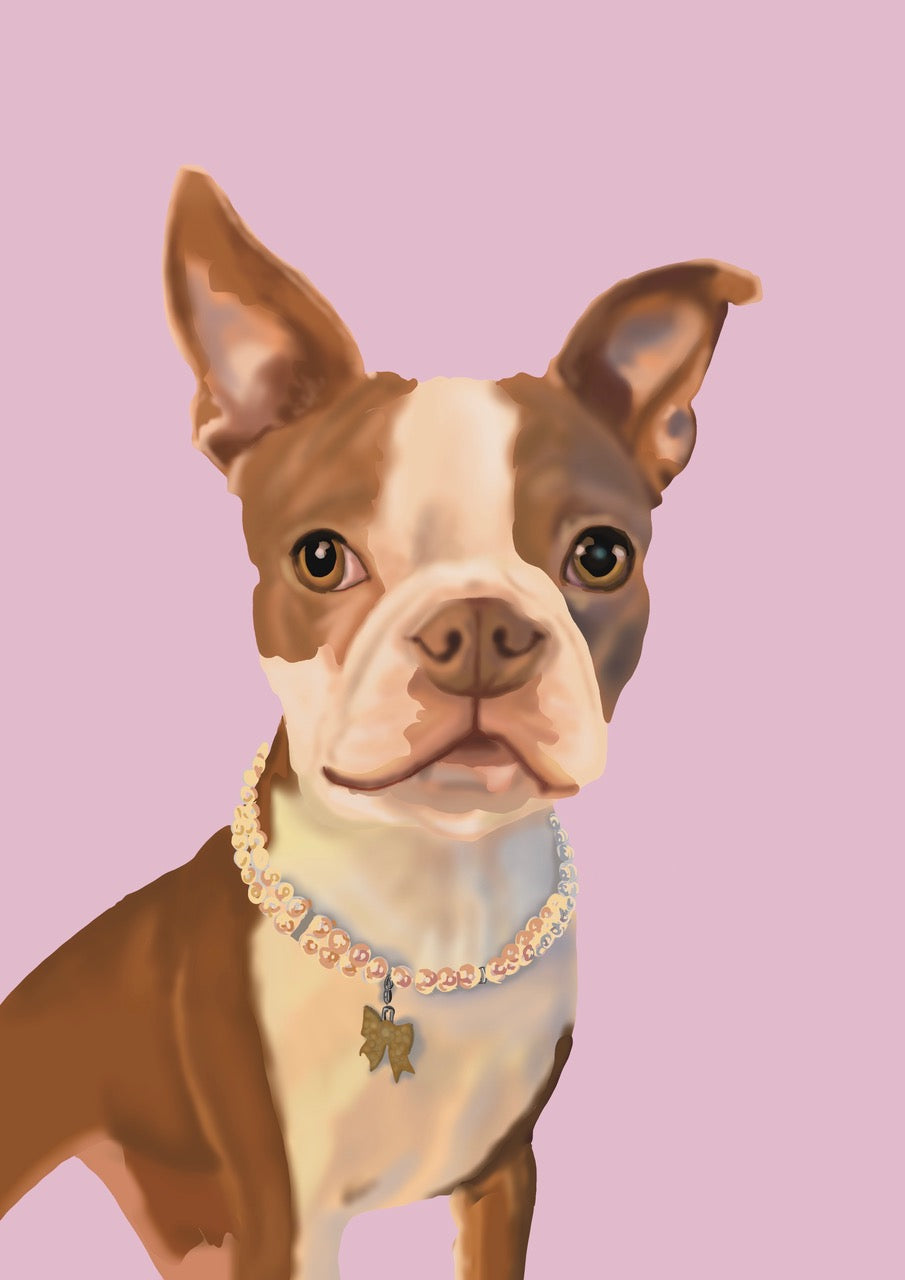 Little Diva Boston Greeting Card