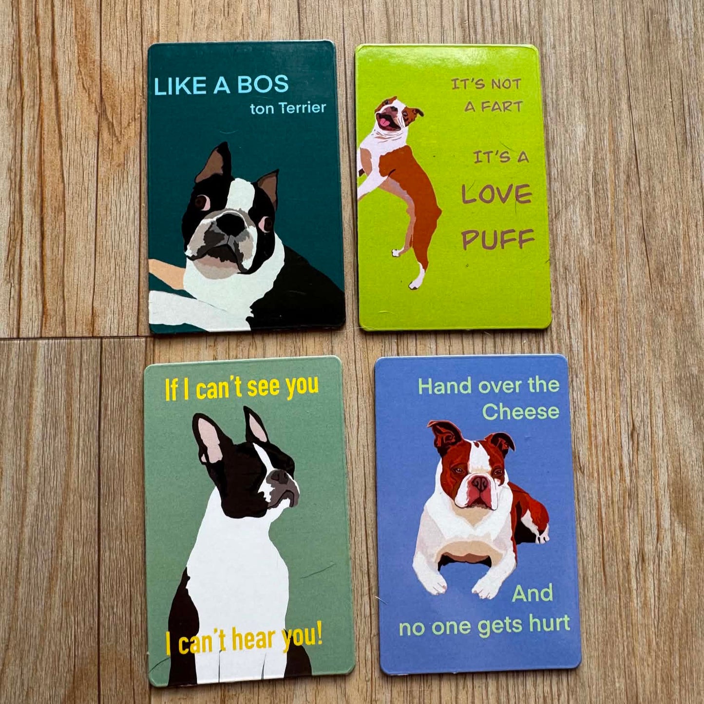 Fridge Magnet Set of 4 - Value Collection- Free Shipping