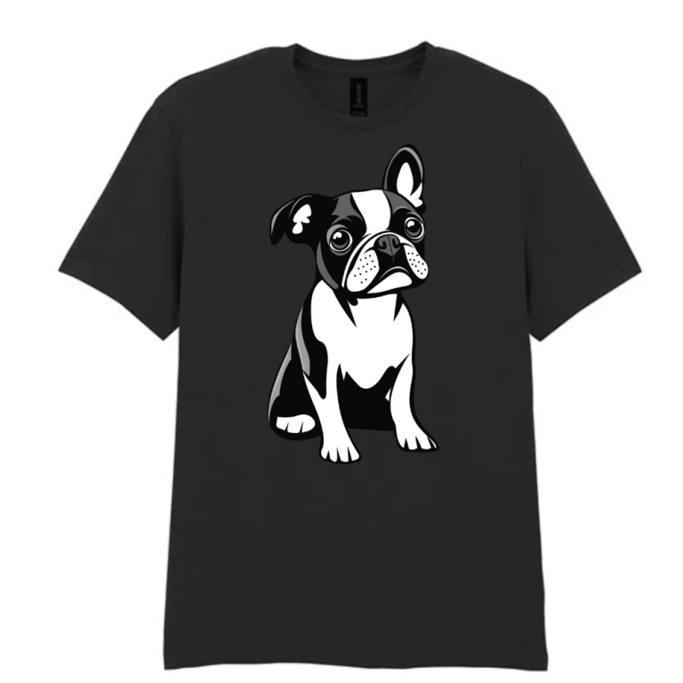 TShirt - Kids - Boston Logo Front & Back