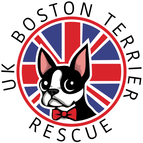 UK Boston Terrier Rescue