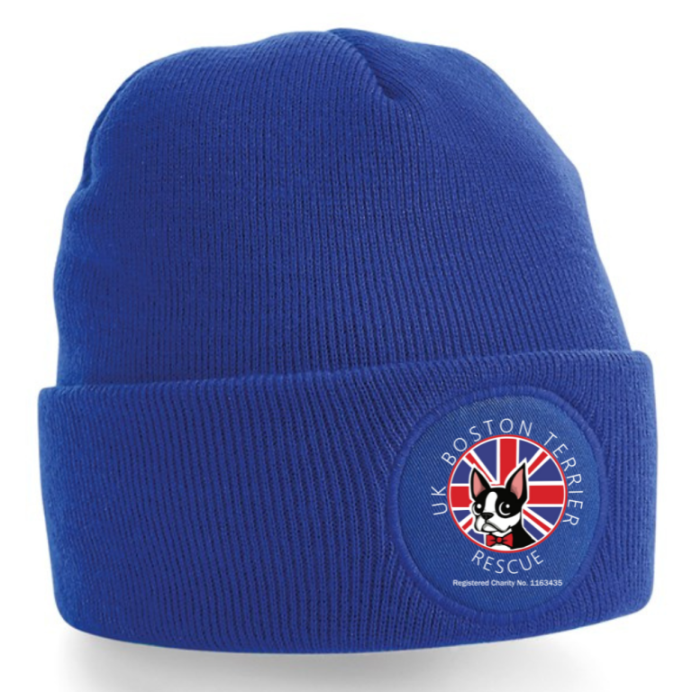 Beanie - UKBTR Logo