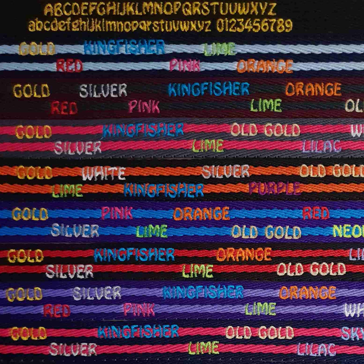Personalised Slip Lead 19mm x 140cm