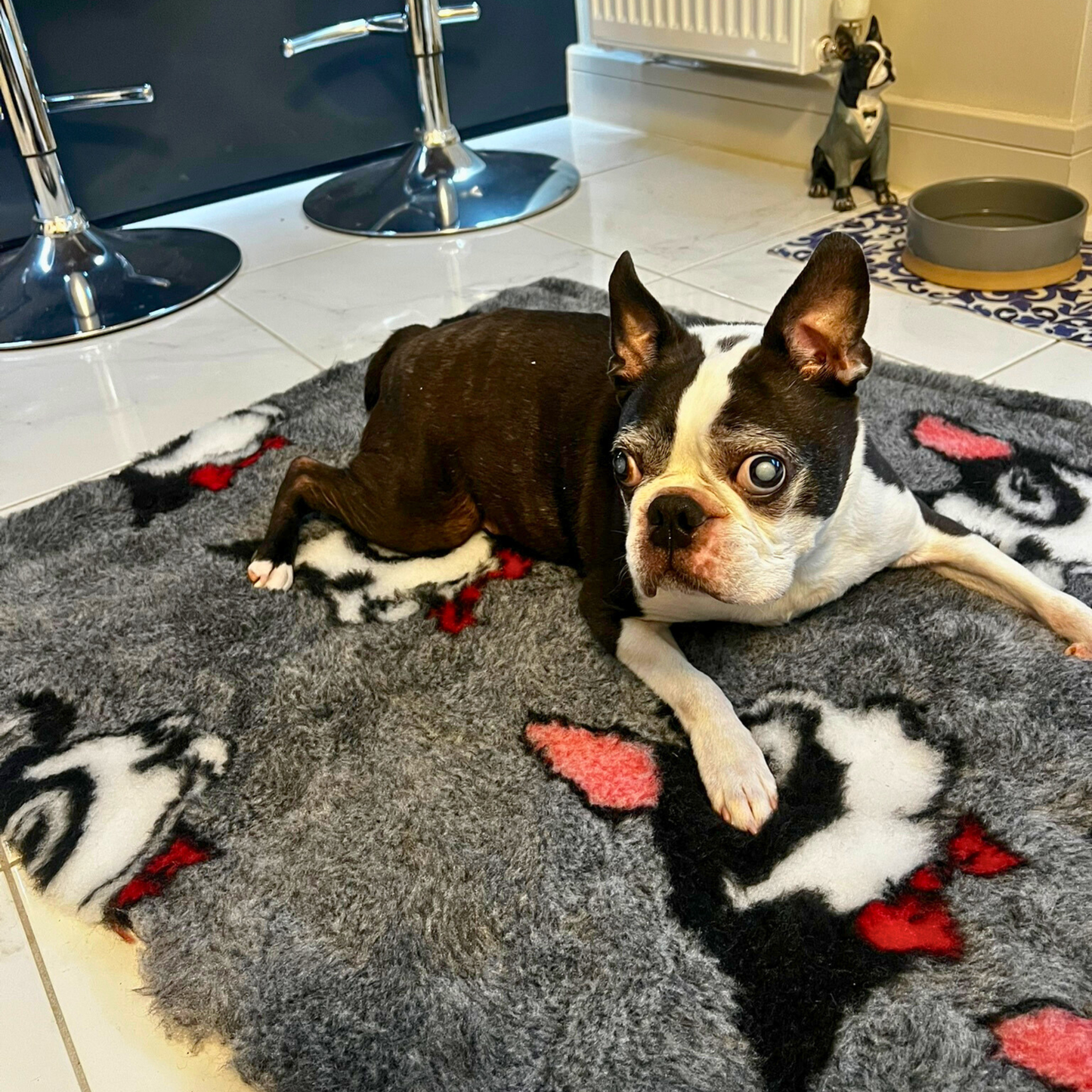 UKBTR Vet Bed