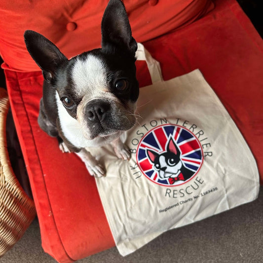 A cotton tote bag with a UKBTR logo, displayed on a red chair with a Boston Terrier sitting inside it.