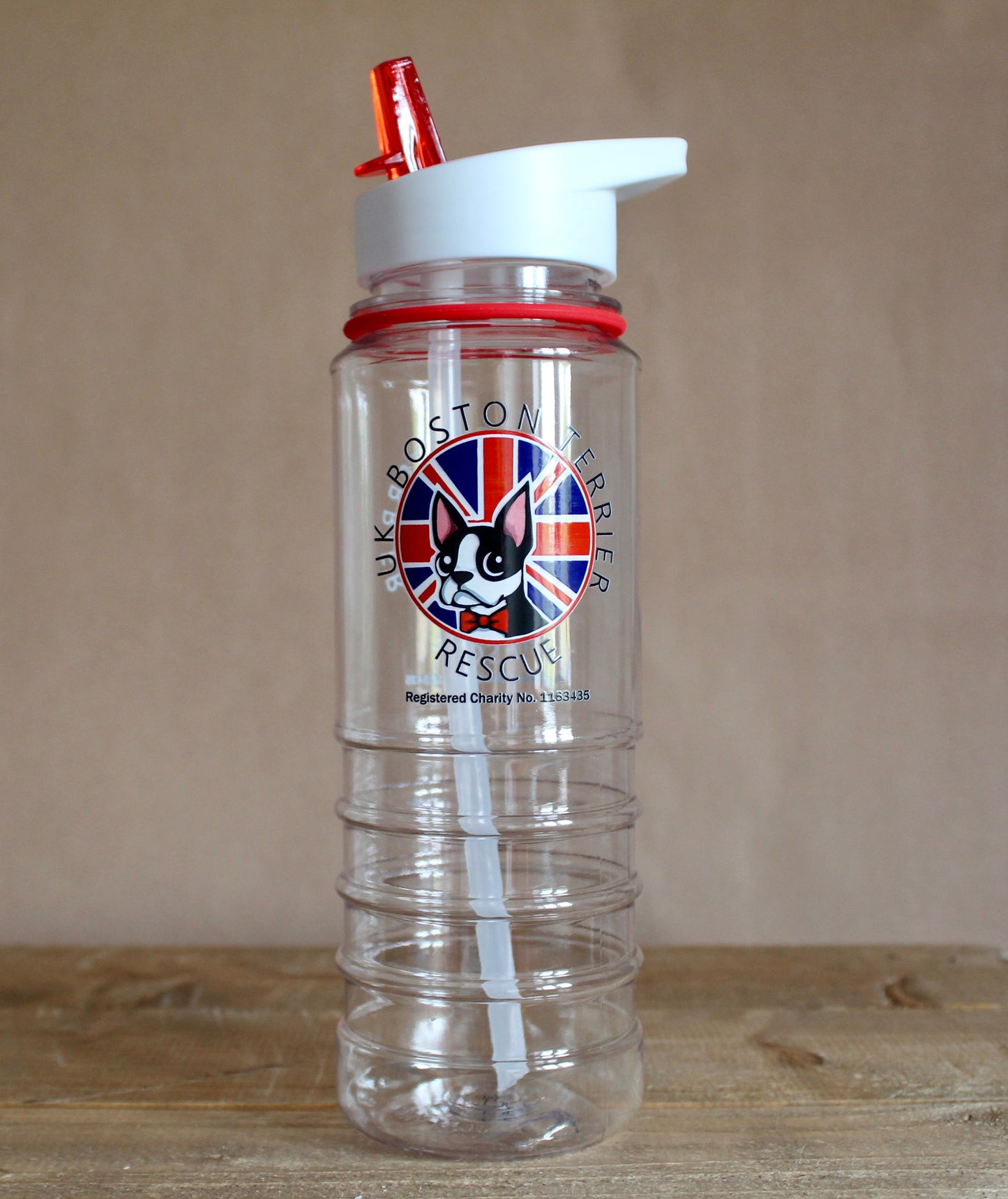 Travel Water Bottle with Straw