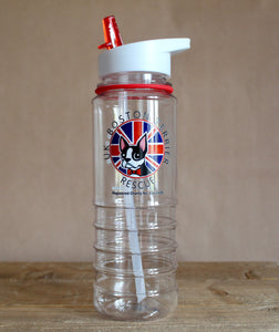 Travel Water Bottle with Straw