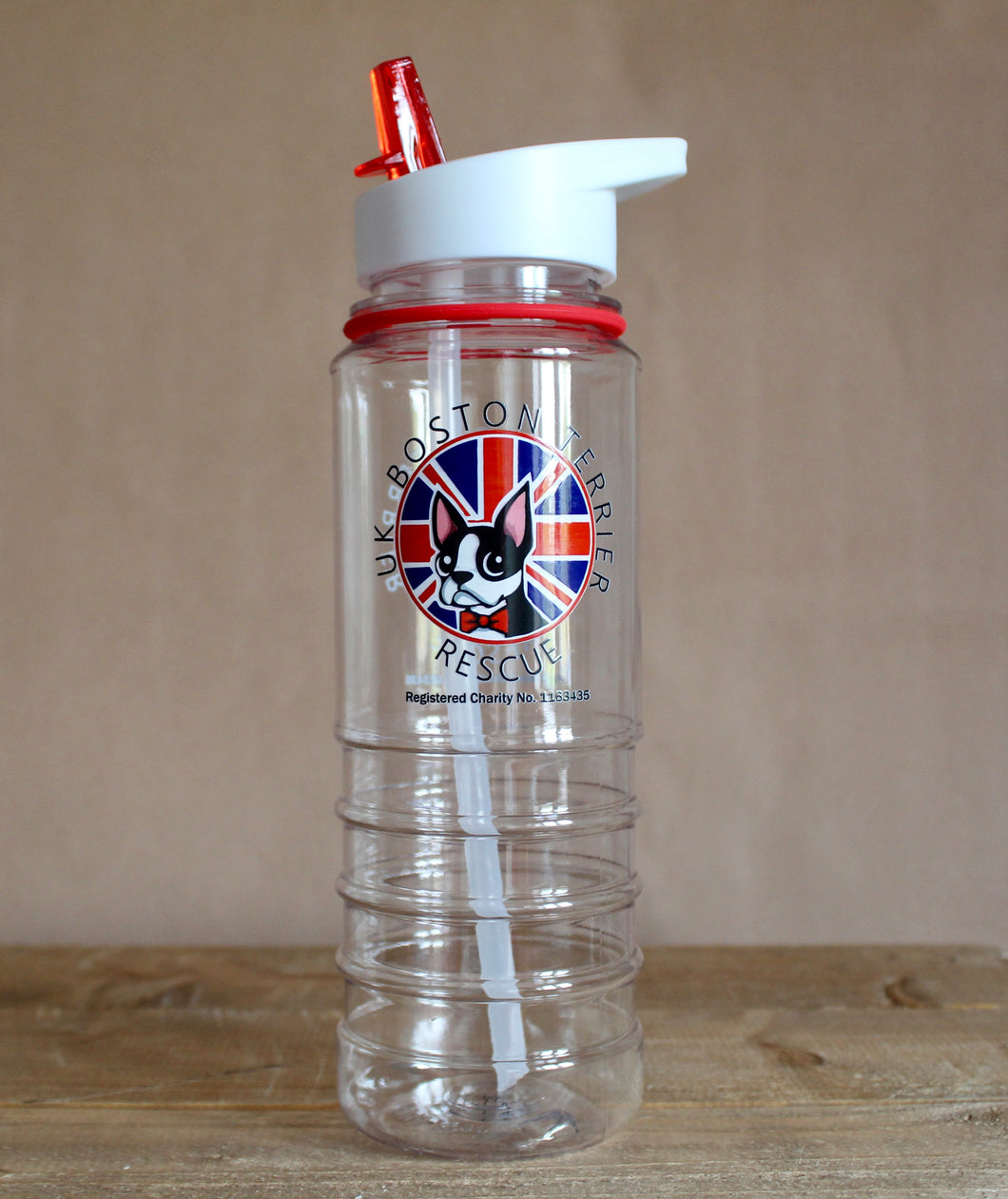 Travel Water Bottle with Straw