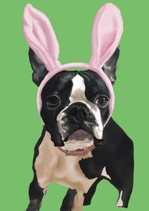 Bunny Boston Greeting Card