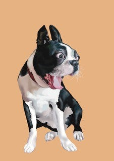 Card - Crazy Boston